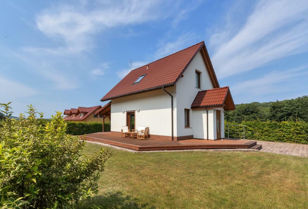 Amber House Villa Wisełka Buitenkant foto