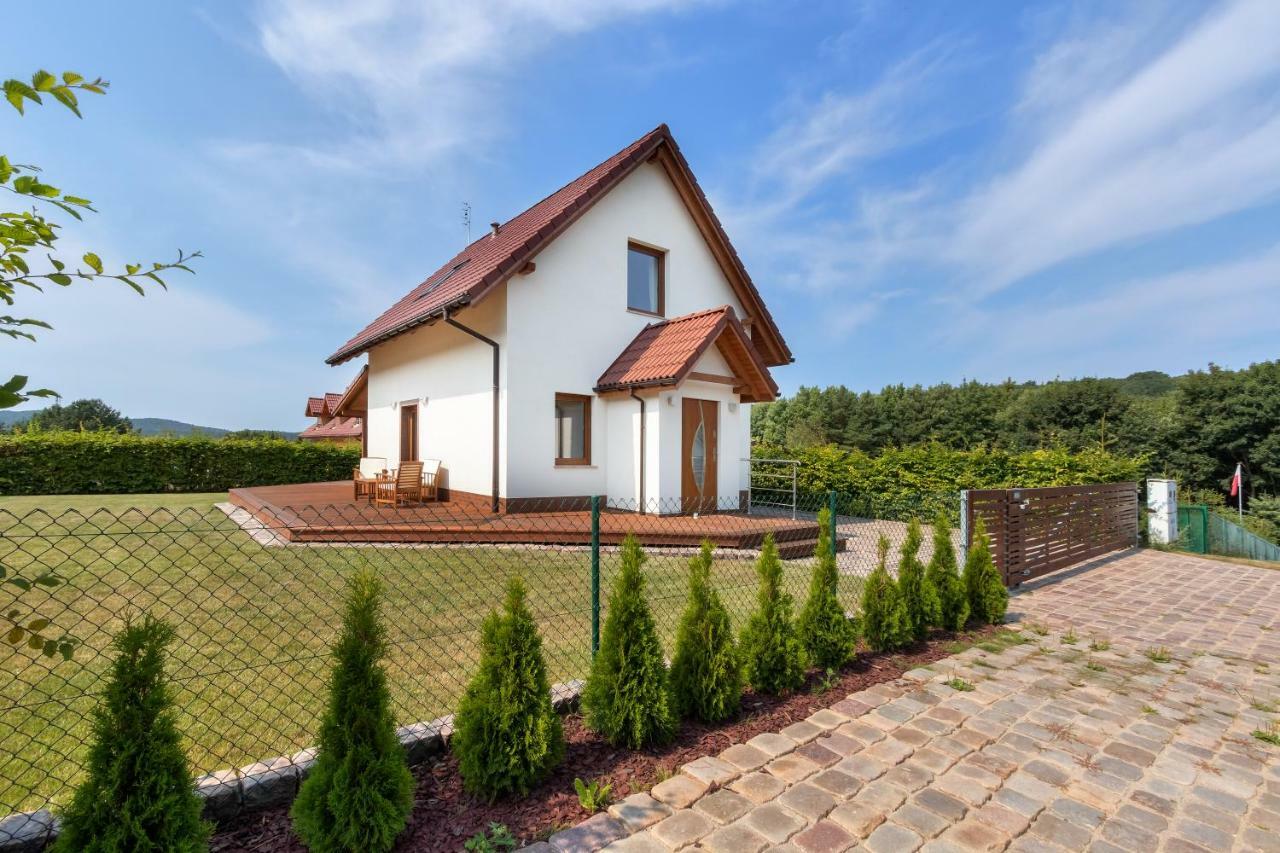 Amber House Villa Wisełka Buitenkant foto